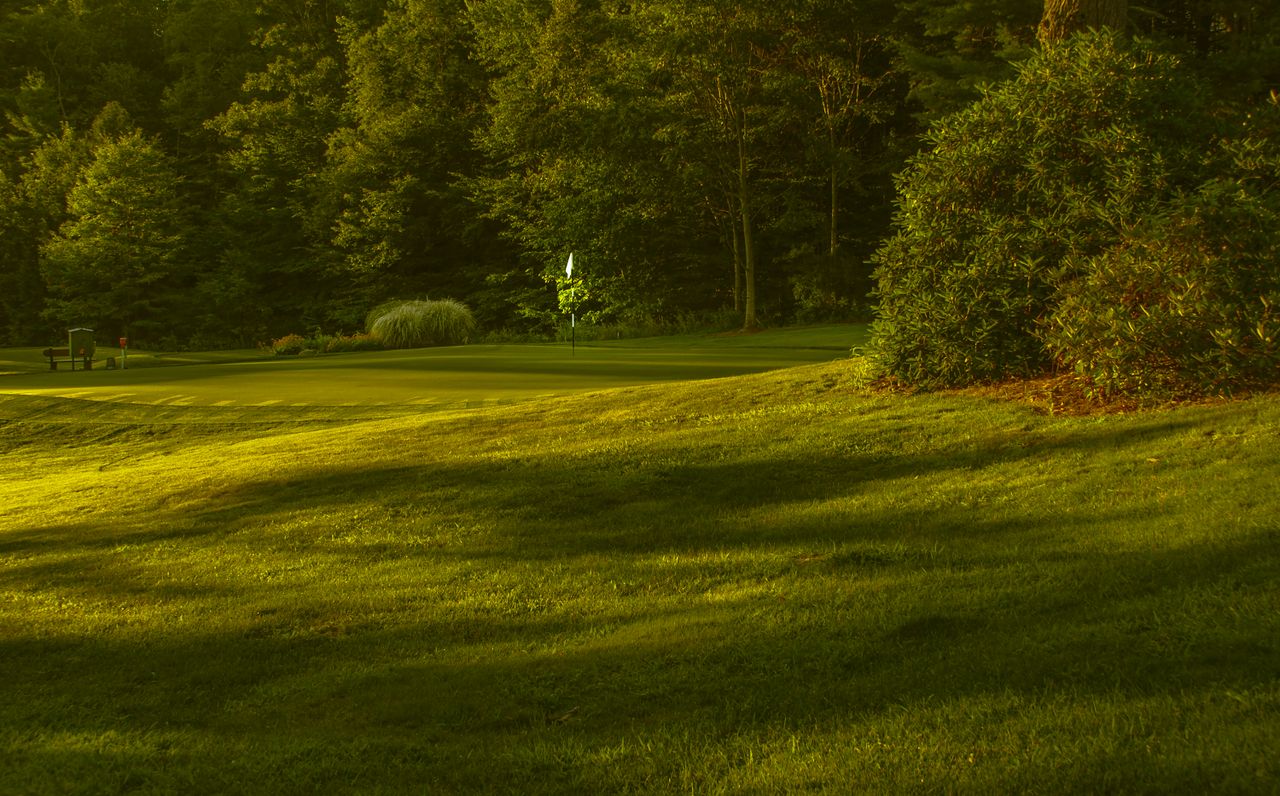 Peaceful golf course scene with vibrant greens and warm sunset lighting.