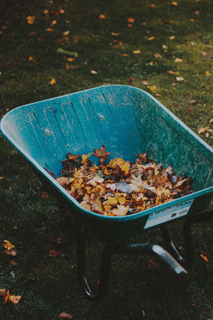 From above of garden cart with bright autumn leaves on grass meadow in daylight